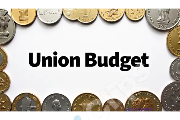 Union Budget with Indian Coins
