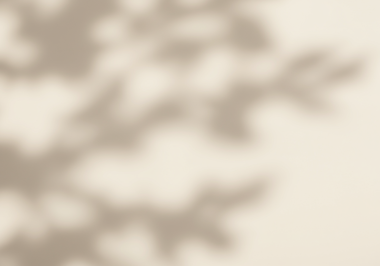 Blurry Nature Leaf Shadow on Neutral Background