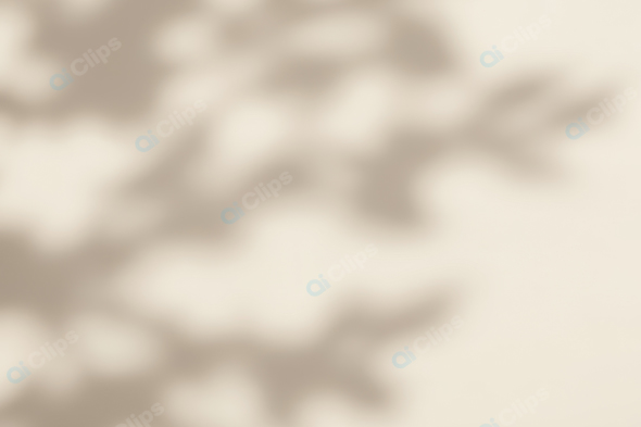 Blurry Nature Leaf Shadow on Neutral Background