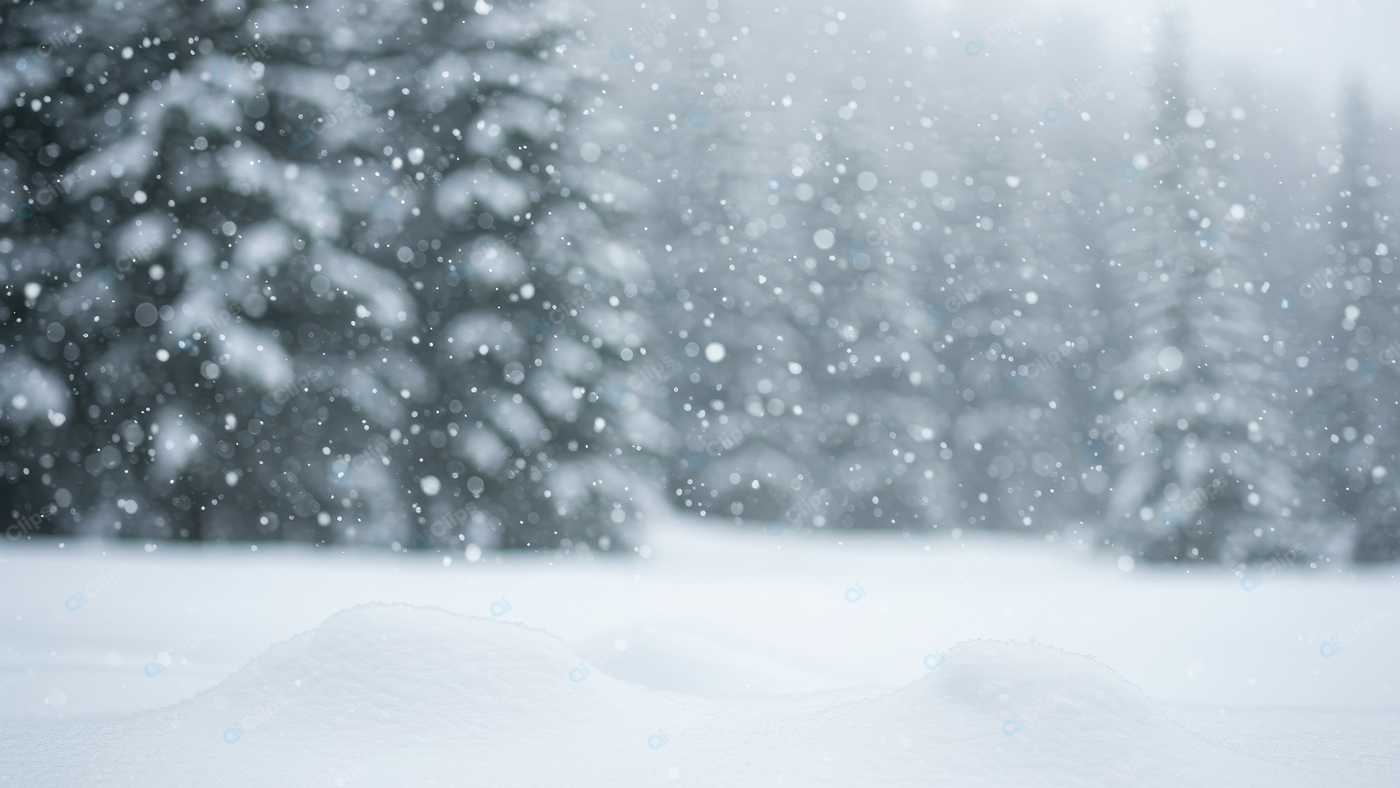 Snowfall in Serene Winter Forest Landscape