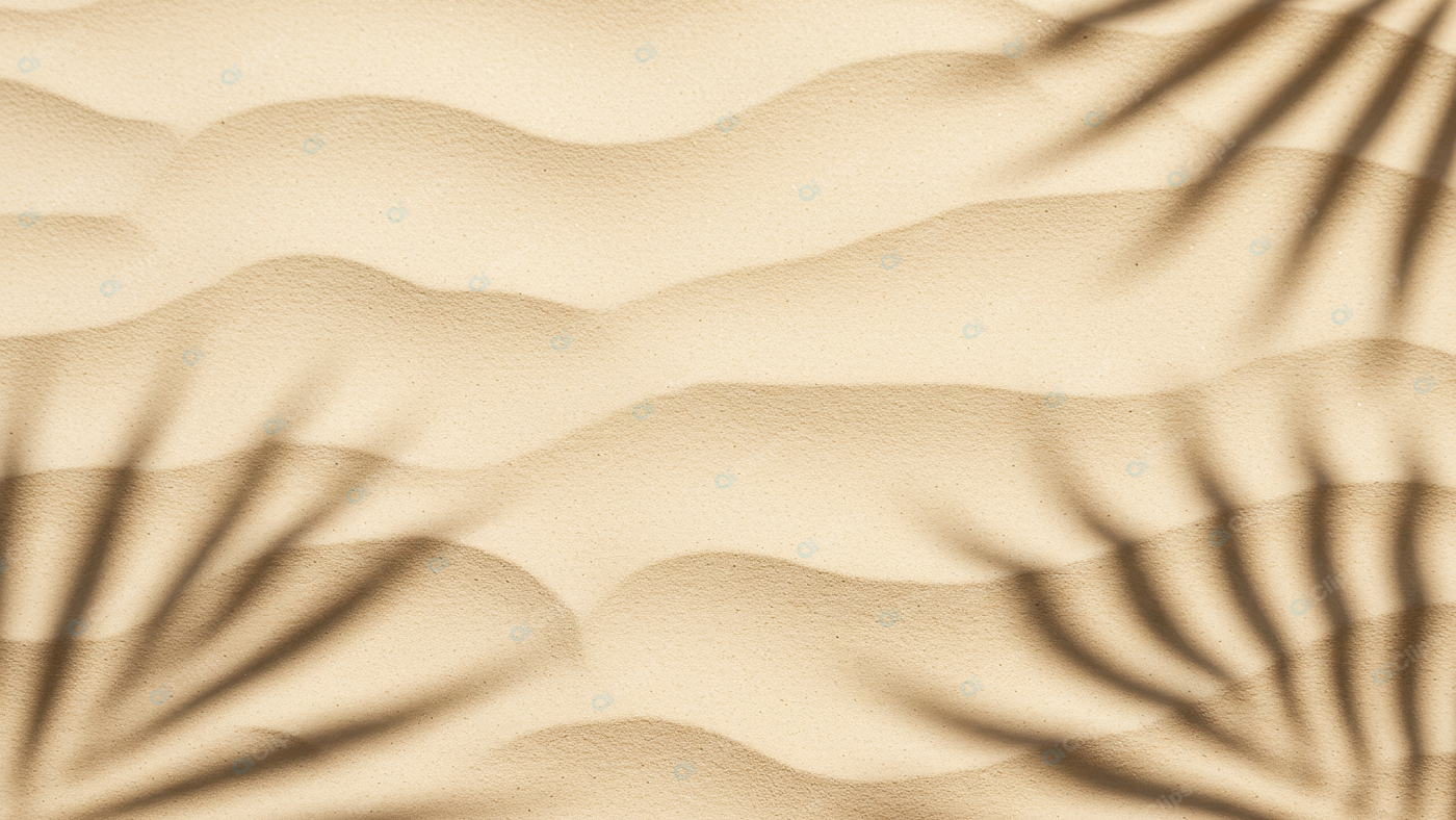 Desert Sand Dunes with Palm Leaf Shadows