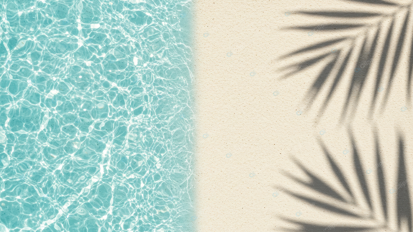 Sunny Beach with Palm Shadows and Clear Blue Water