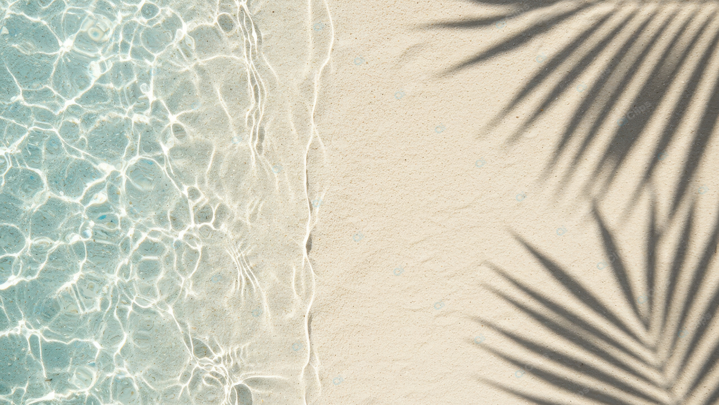 Sunny Beach with Palm Leaf Shadows and Clear Water