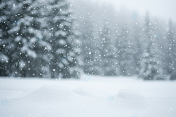 Snowfall in Serene Winter Forest Landscape