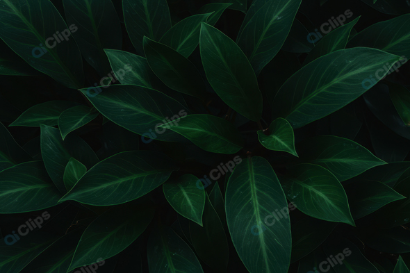 Lush Green Tropical Leaf Background
