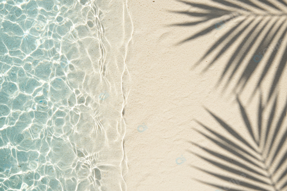 Sunny Beach with Palm Leaf Shadows and Clear Water
