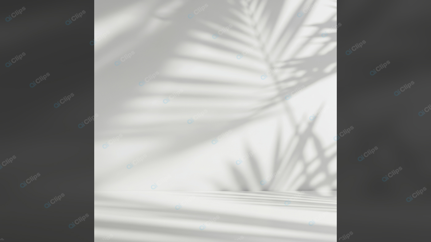 Palm Leaf Shadow Patterns on White Background