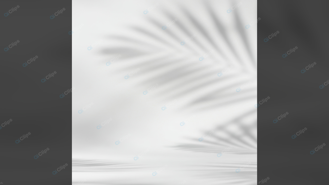 Tropical Palm Leaf Shadow on White Background