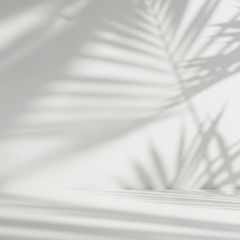 Palm Leaf Shadow Patterns on White Background