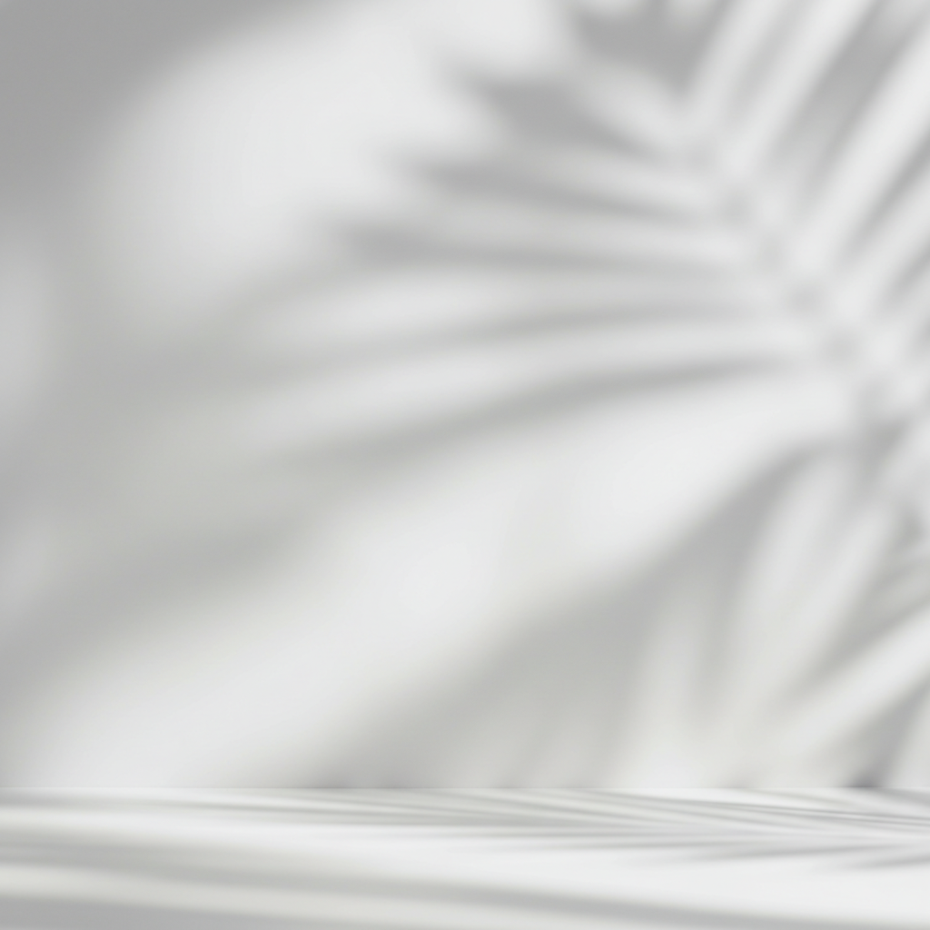 Shadow of Leaves on White Background