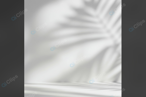Shadow of Leaves on White Background