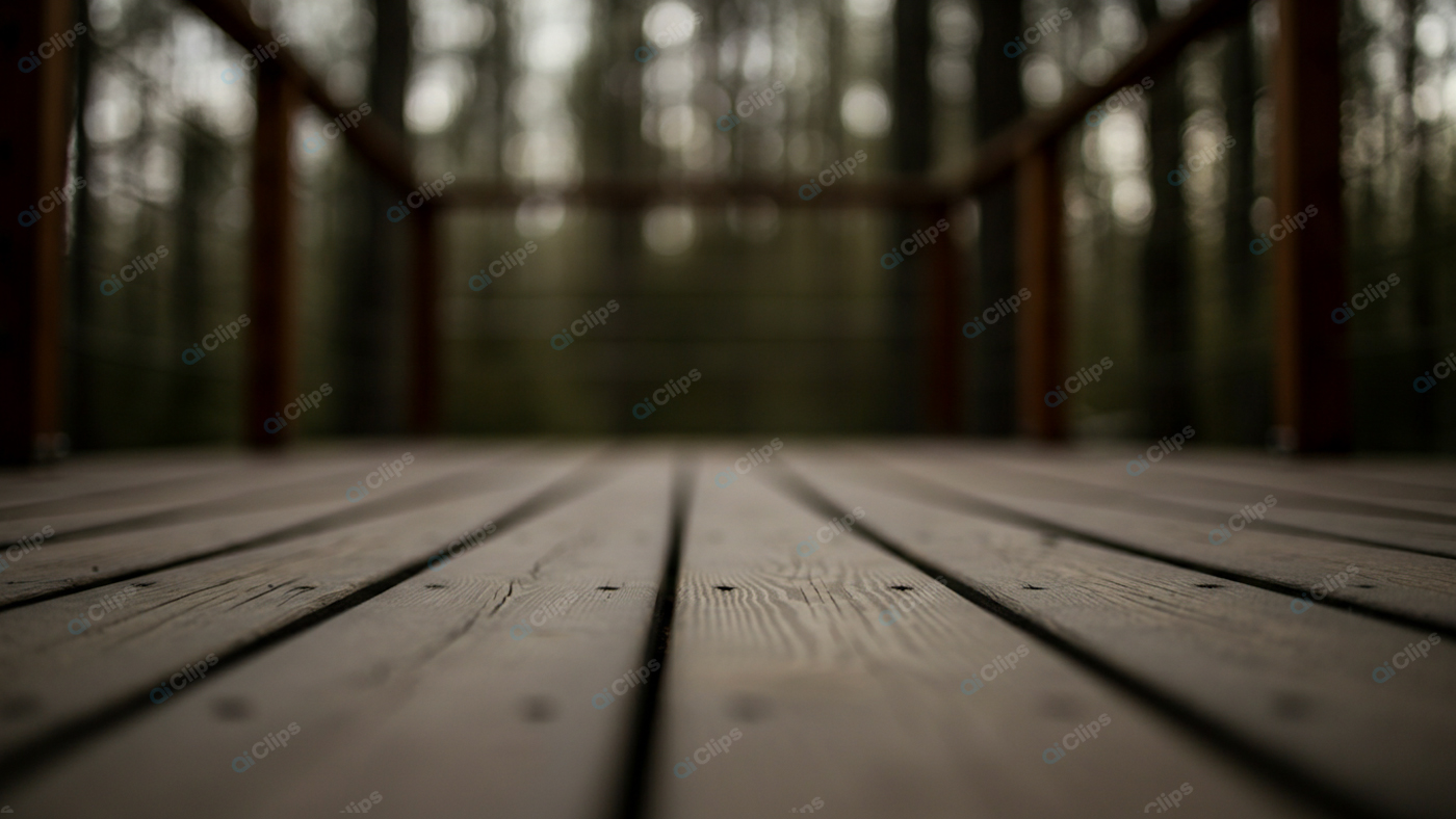Wooden Deck in Forest Setting