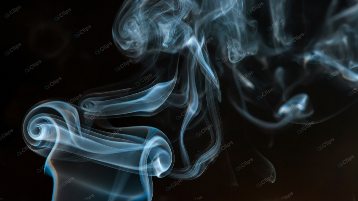 Elegant Swirling Smoke on a Black Background
