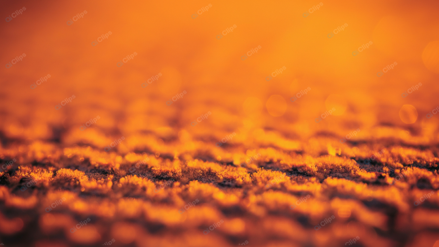 Golden Hour Textured Abstract Pattern