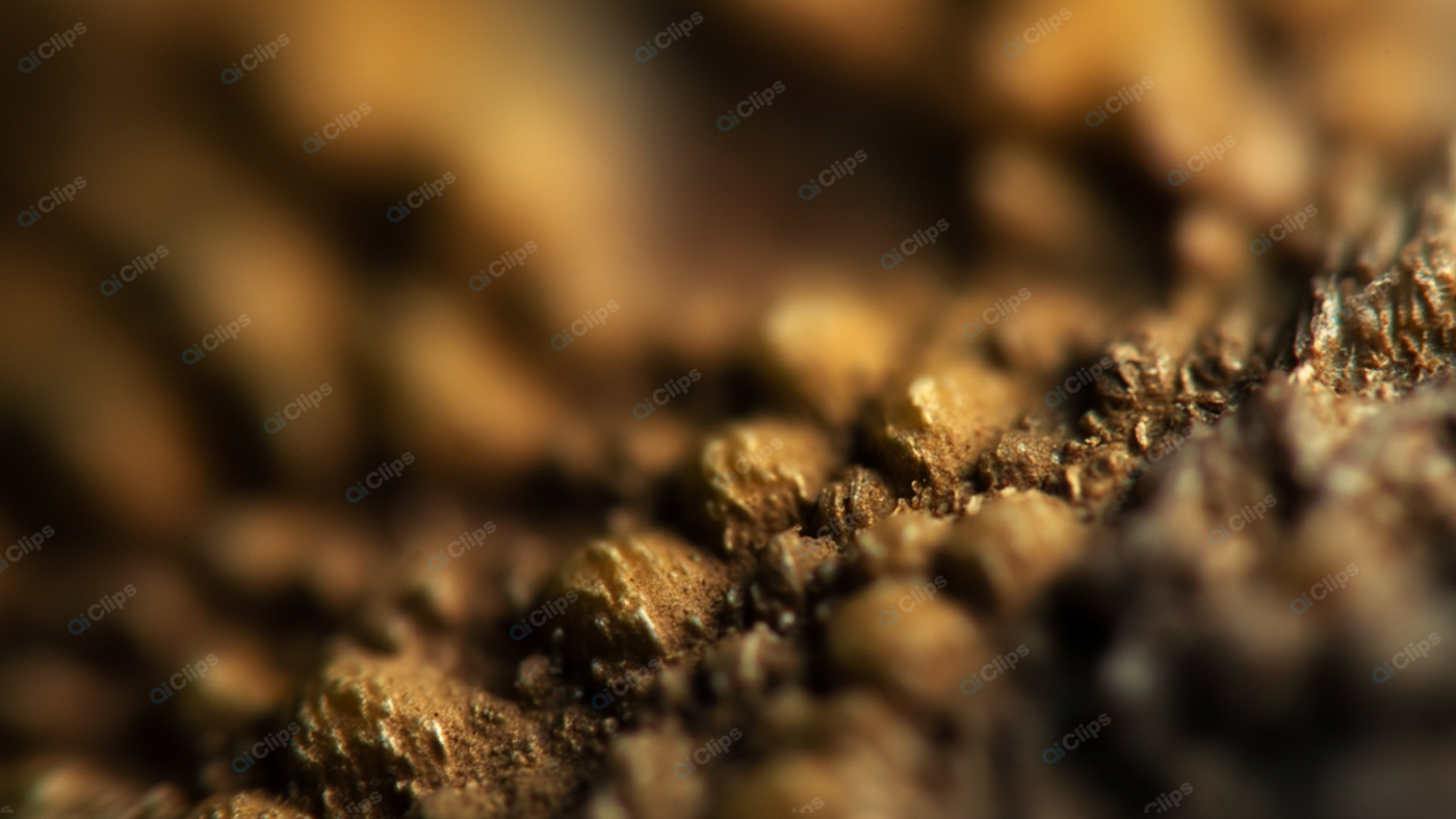 Macro Close-Up of Textured Surface