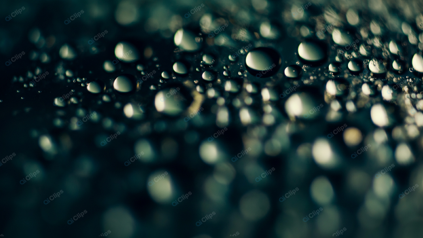 Macro Shot of Water Droplets on Dark Surface