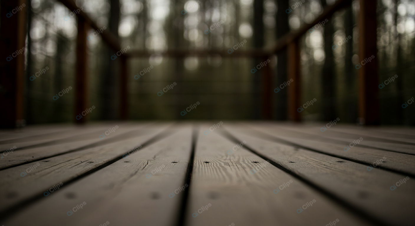 Wooden Deck in Forest Setting