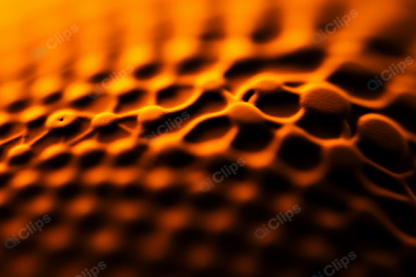 Organic Texture with Warm Lighting in Abstract Close-Up