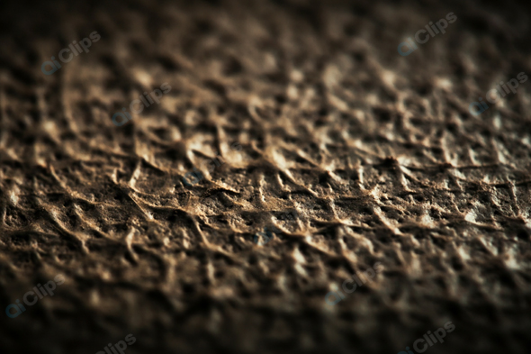 Close-Up of Textured Brown Surface