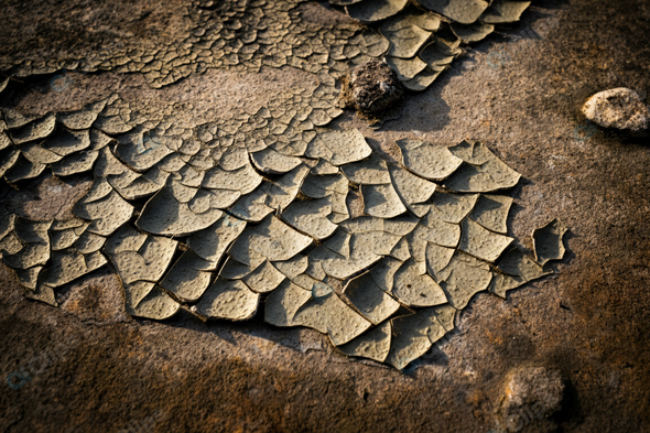Cracked Earth Texture in Drought-Affected Area