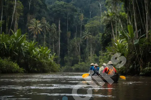 Canoeing Through the Jungle