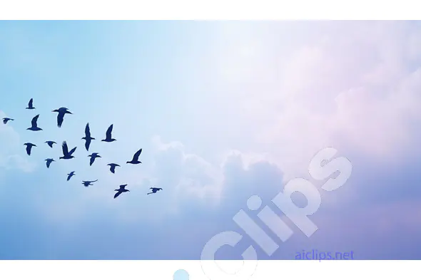 Birds in Flight Against a Serene Sky