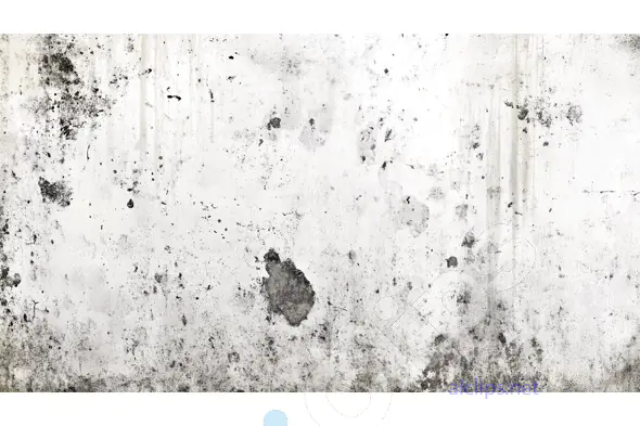 Grungy White Concrete Texture