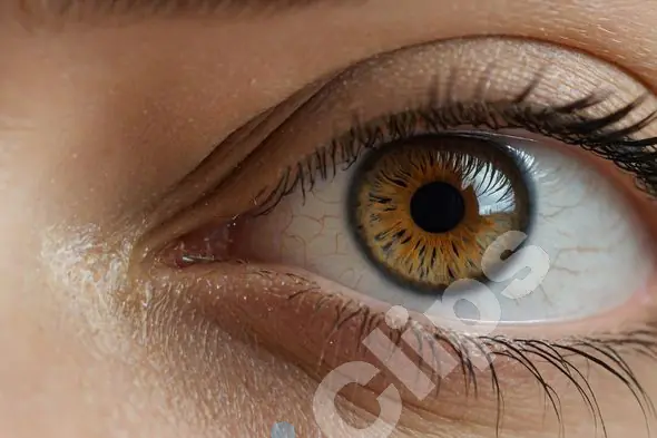 Close-Up Eye Detail