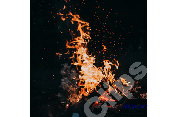 Close-Up Campfire Flames at Night