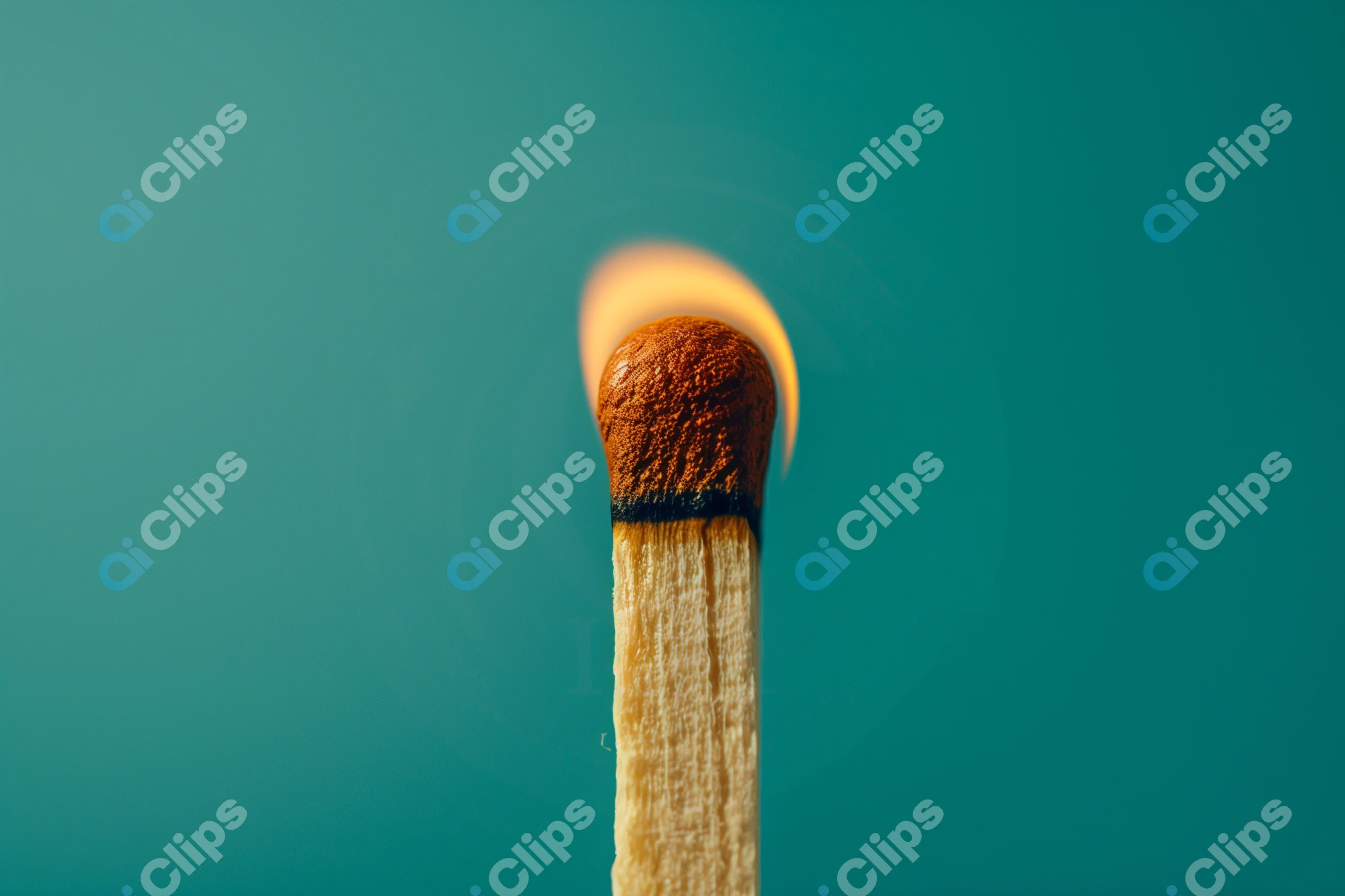 Burning Matchstick Close-Up