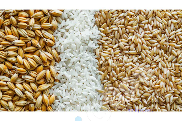 Assorted Rice and Grains