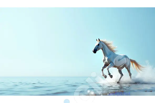 White Stallion Running on Water