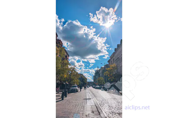 Sunny City Street