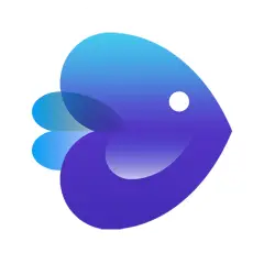 Invideo Studio