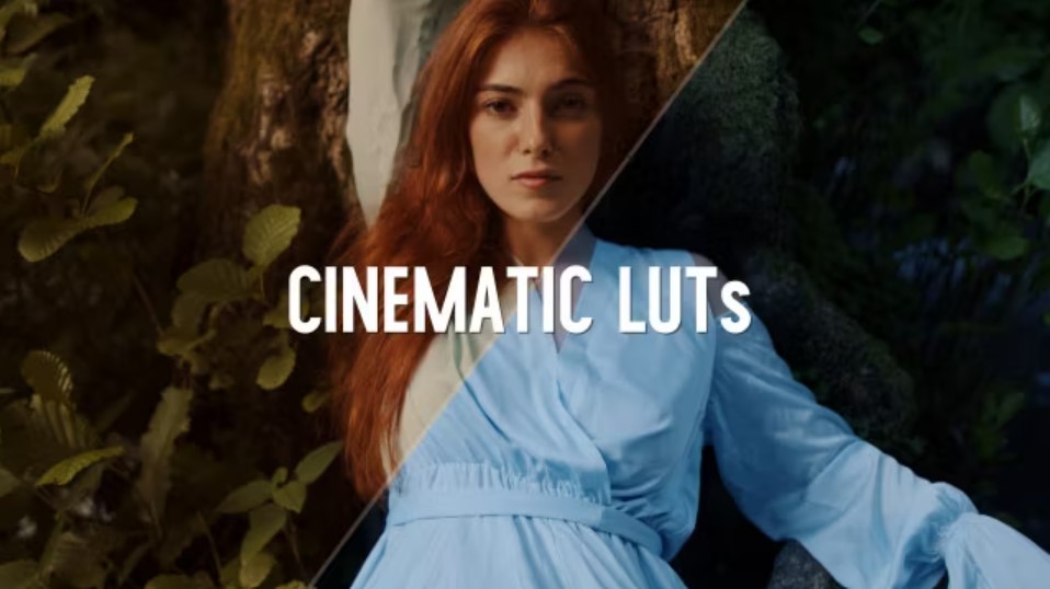 Ignite Your Creativity: Explore 50 Cinematic Color LUTs on GFXHive