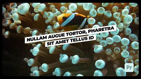 Videohive 52918686 Typography 1.5 | Premiere Pro