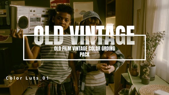 Videohive 54142769 Old Film Vintage Luts Pack, GFXHive