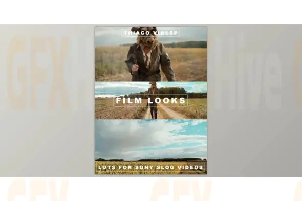 Thiago Vibesp - Premium Sony S-Log LUTs Collection