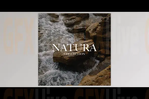 Mitch Lally - NATURA COLLECTION