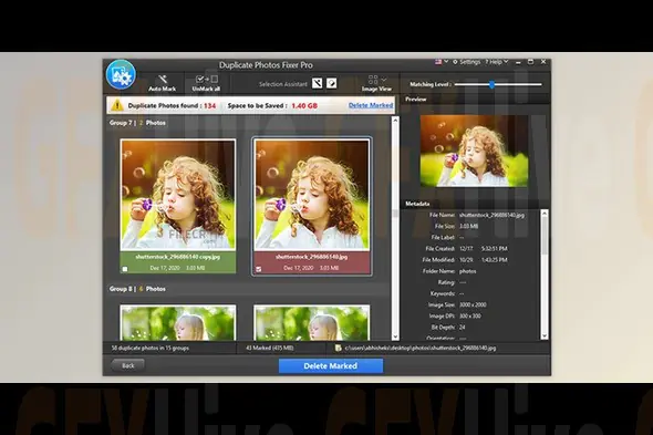 Duplicate Photos Fixer Pro v1.3.1086.2815 (Win, Mac)