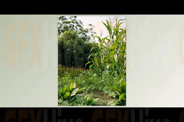Maxtree - Plant Models Vol 93