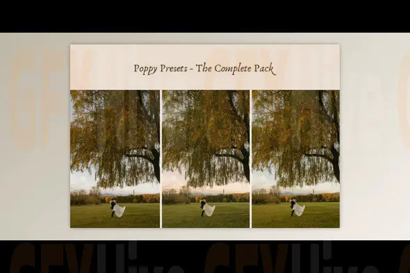 Ashlynlee - Poppy Presets - Complete Pack