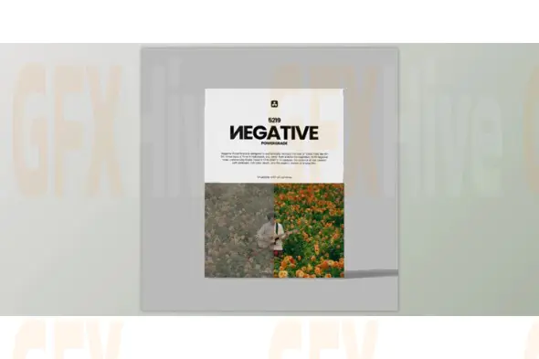 Gumroad - Loris Marie - Negative Powergrade for Davinc
