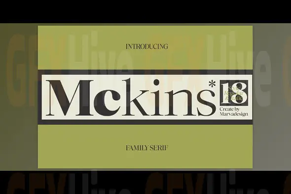 Mckins - Family Serif Font