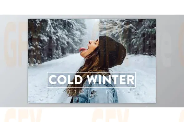 Filtergrade - Cold Winter Lightroom Preset