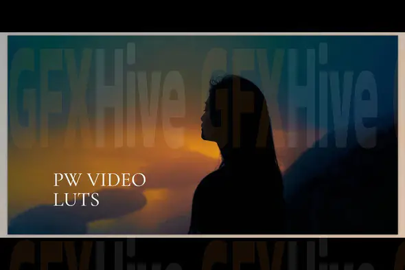 Polina Washington - PW VIDEO LUTS