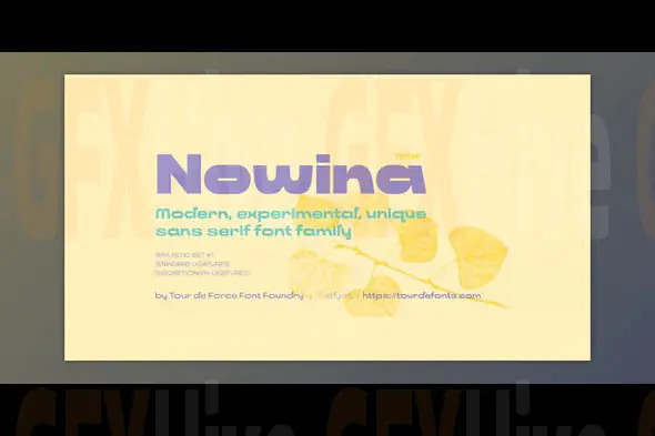 Myfonts - Nowina Font Family