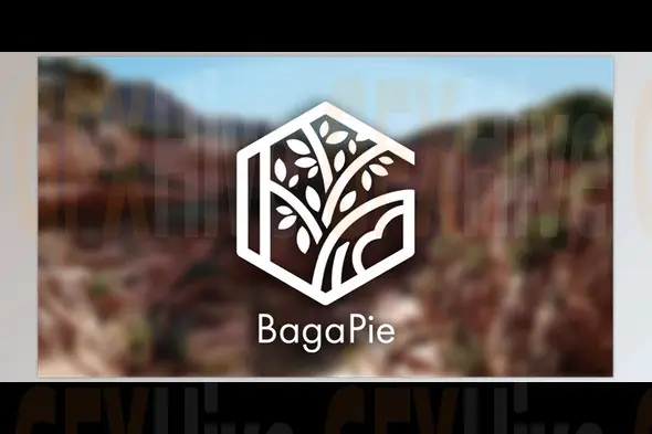 Blender - BagaPie + Assets v11.0.12 - Procedural Scattering & Environment Tools