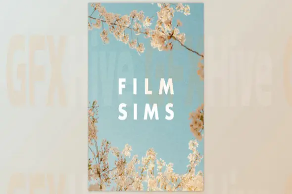 Media by AV - AV FILM SIMS - BUNDLE (4 PACKS)