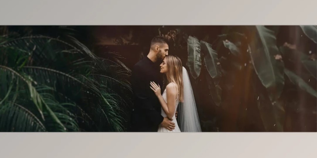 MotionVFX mWedding